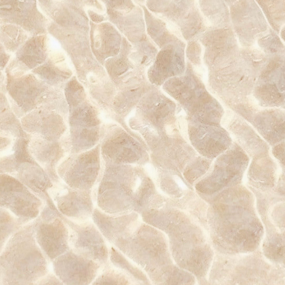 Eyebrow Wax at Bella Donna Hair Studio LLC in Thornton, CO