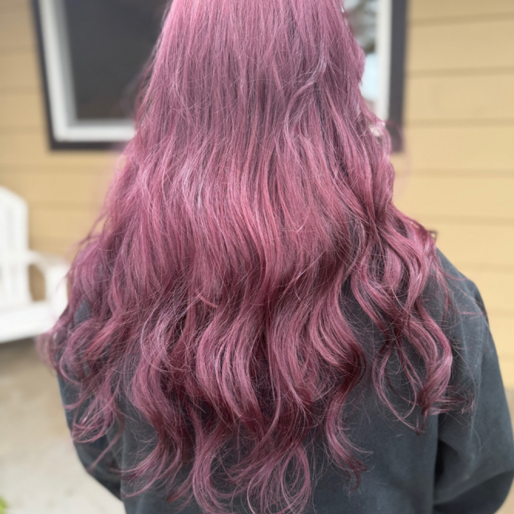 Color Re-touch at Shed beauty co in Forest Grove, OR
