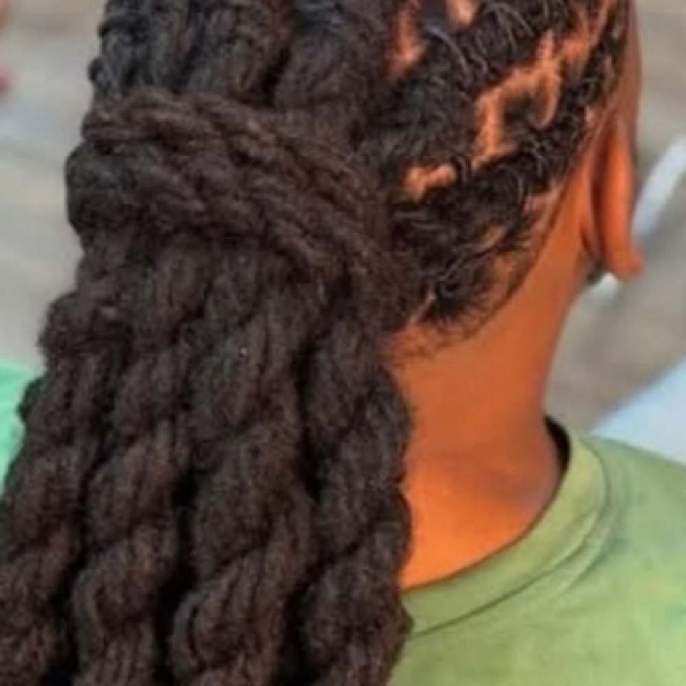Long  Locs 2 Strand Twist at Locs, Braids & Twists in Laurel, DE