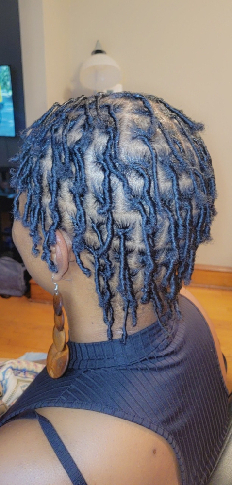 Starter Locs