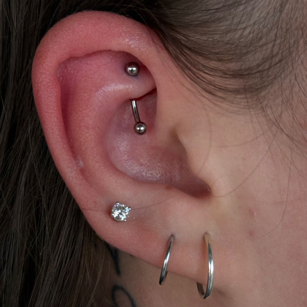 Rook