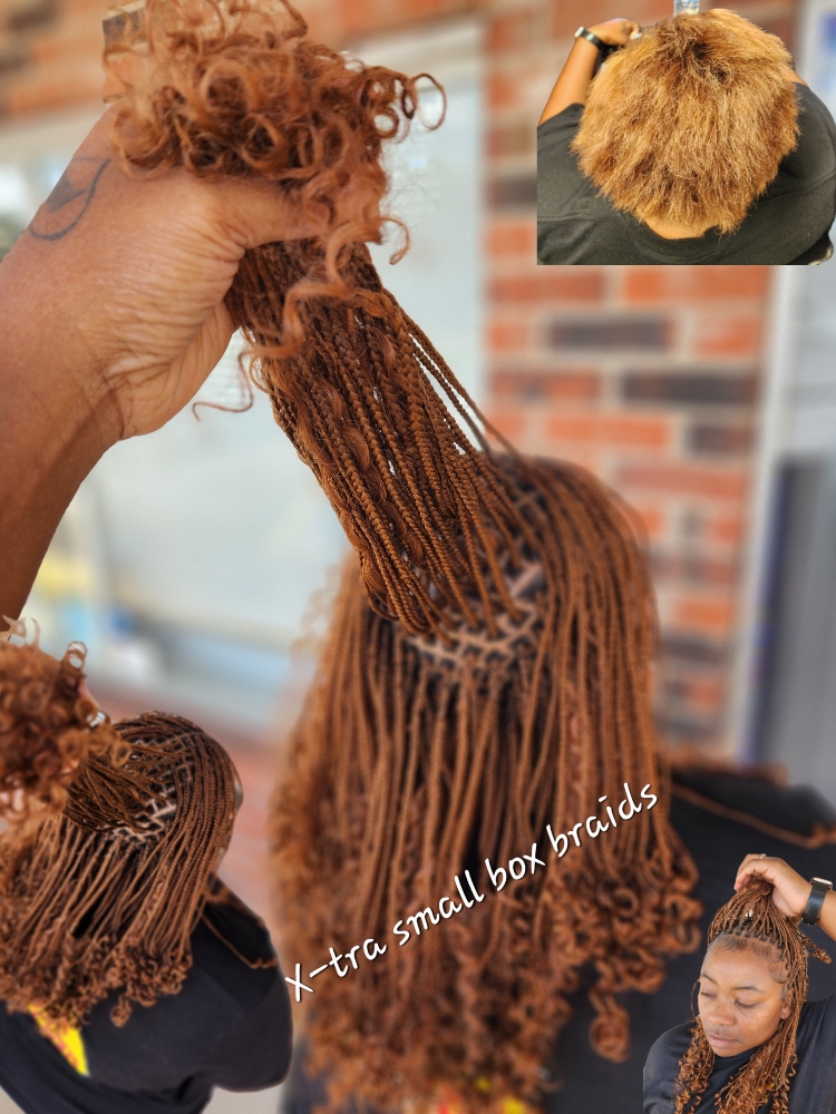 16in Xtra Small Box Braids