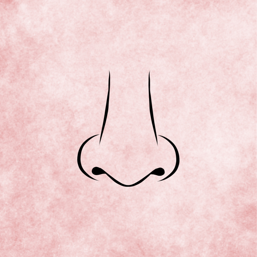 Nose at Wax Theory in Phoenix, AZ