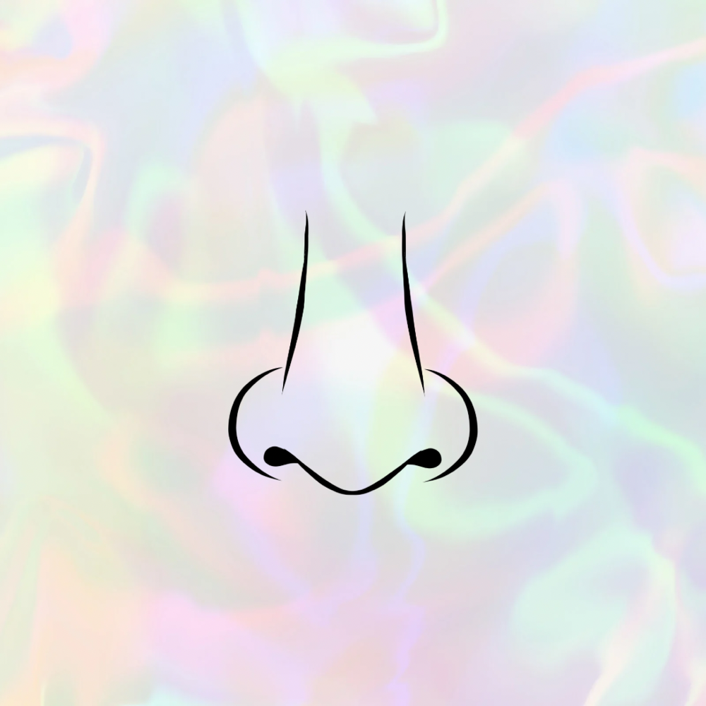 Nose