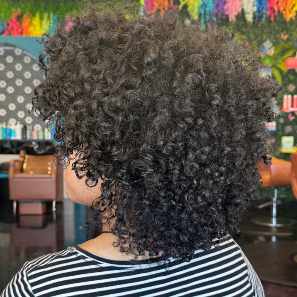 Volumizing Maintainance Curl Cut at Elle Louise in Gulfport, MS