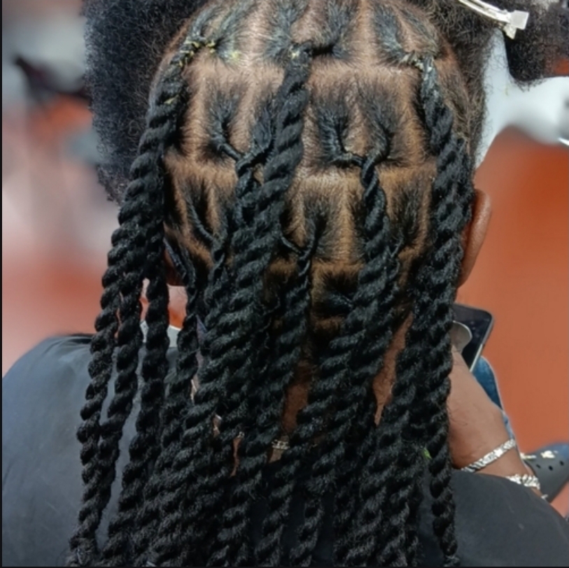 KariZmatiK Invisible Locs W/Demi Co