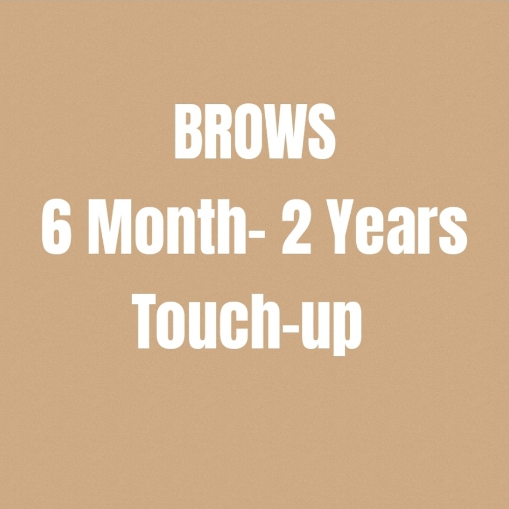 BROWS-6Mo.-2Years Touch-up at Microblade Me Pretty in Powell, OH
