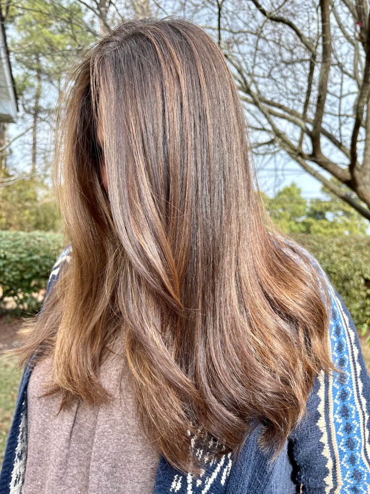 Balayage Experience