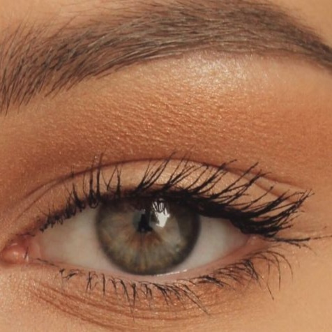Brow Tint at Daily Esthetics Skin Studio LLC in Ridgeland, MS
