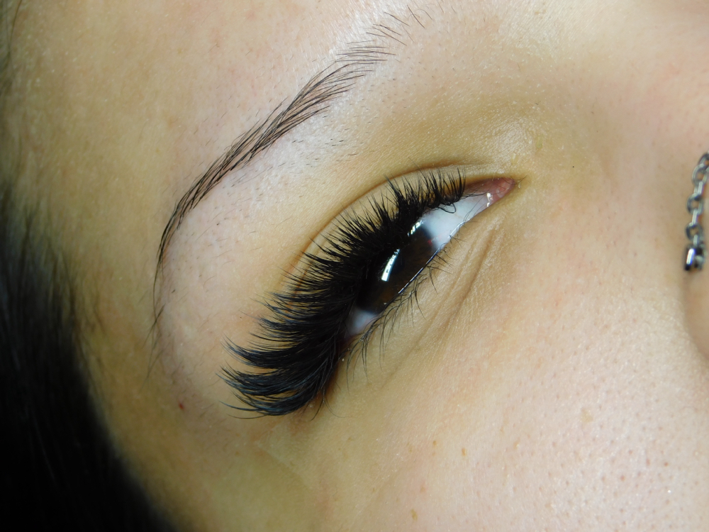 Black Lash Fill
