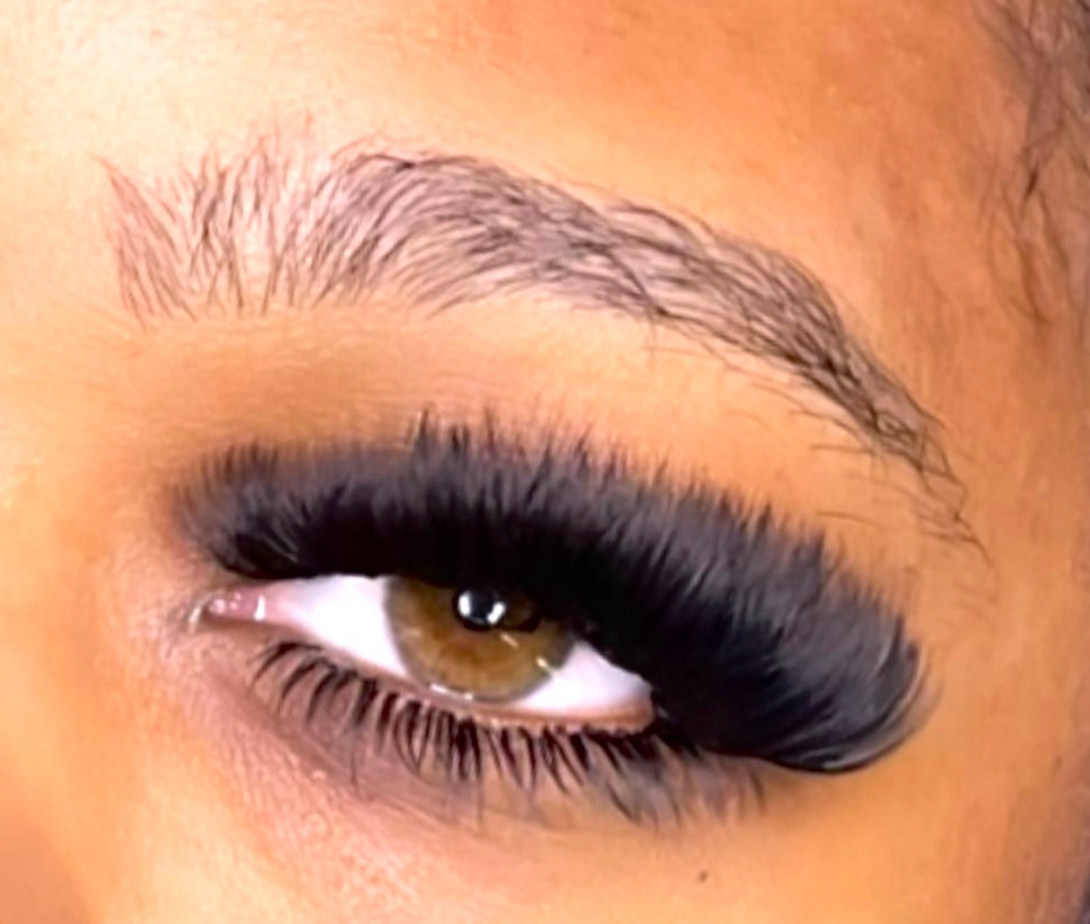 LASH INFILL + BOTTOMS