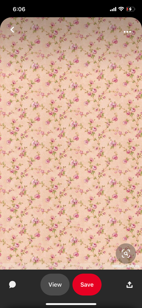 Lip Wax at Looks By Aliya in Milwaukee, WI