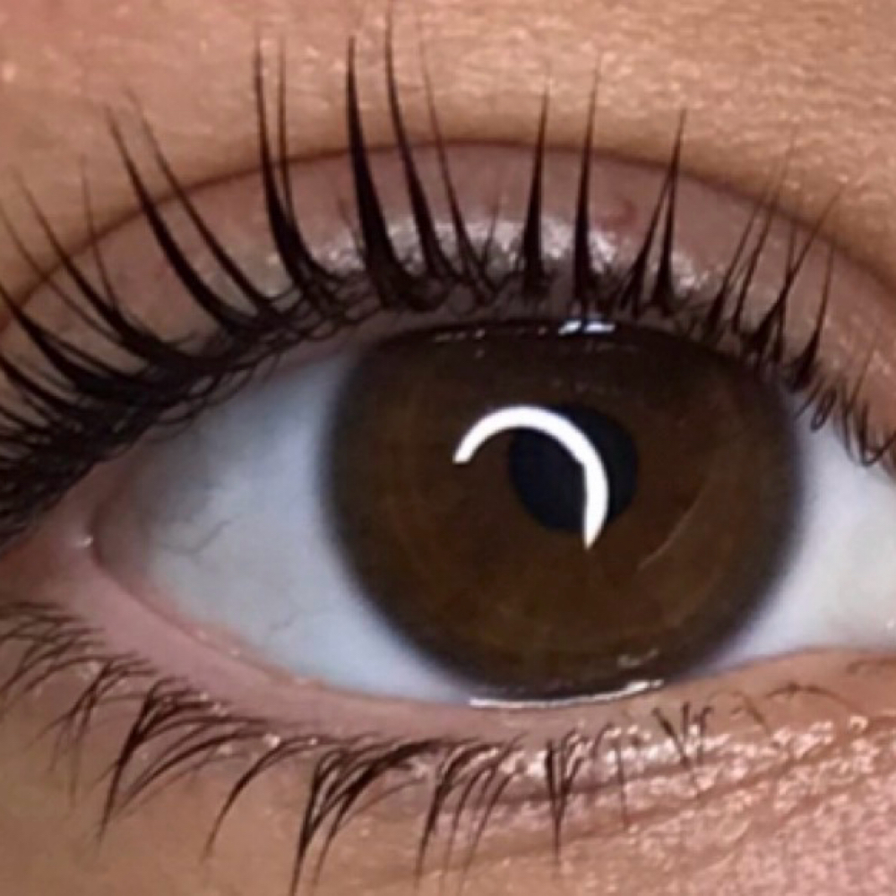 Lash Tinting at Wax & Unwind in Mount Airy, MD