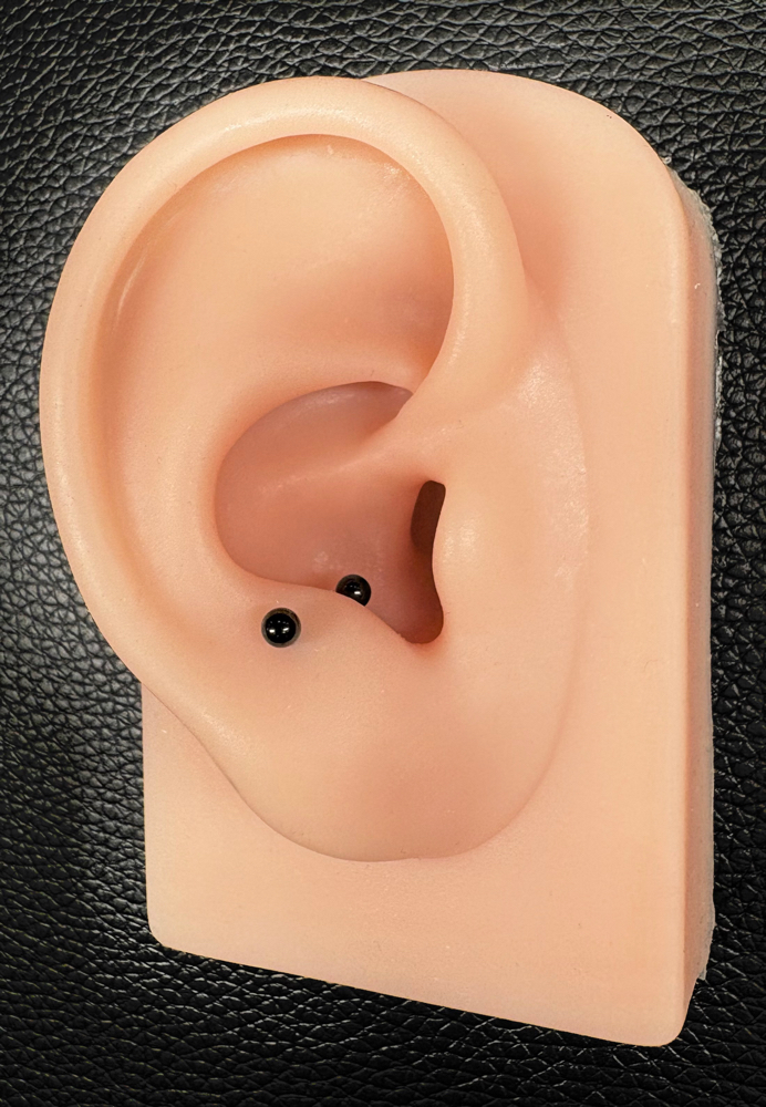 Snug at Anthem Piercing & Tattoo in North Salt Lake, UT