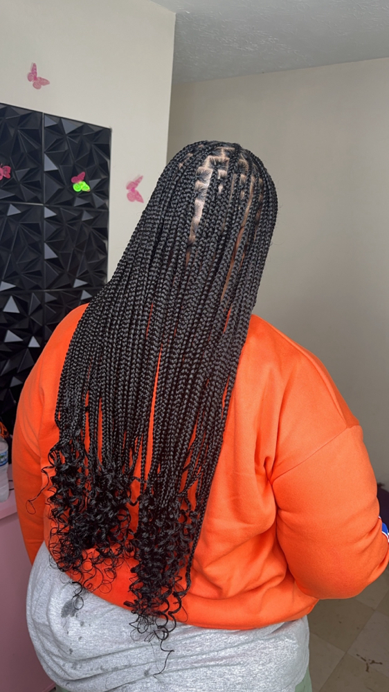 Adult Medium Knotless