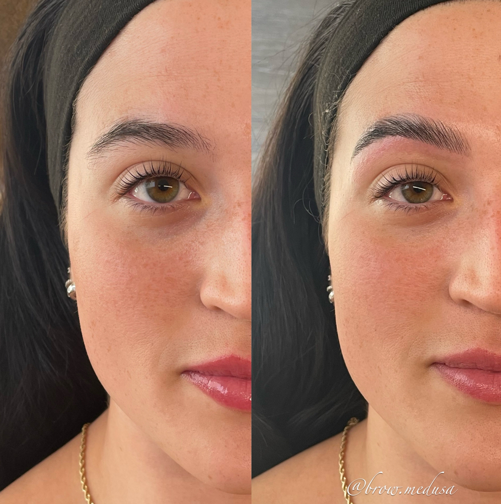 Brow Lamination, Tint & Wax at Boston Beauty Ink in Canton, MA