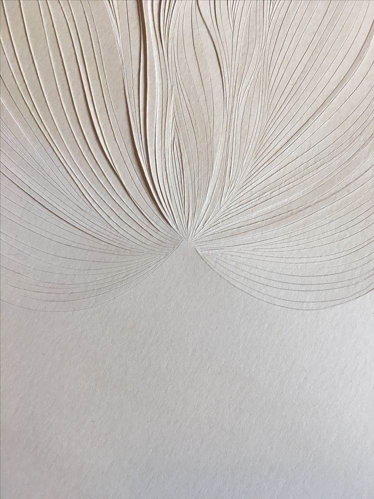 ROOT TOUCH UP