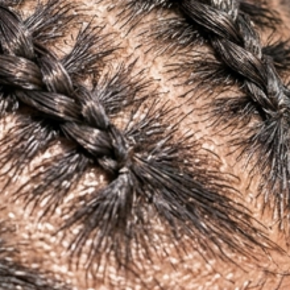 Plaits/Individuals & Stitch Braids at Ponyo’s Place in Chandler, AZ