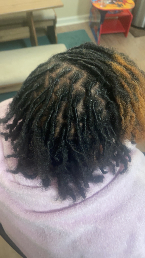 Adult Starter Locs (13 and up) at Loc’dnwithE in Montgomery, AL