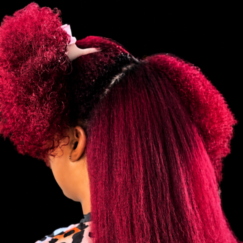 Shampoo•treatment• Blow Dry at Beautify Her Llc in Chicago, IL