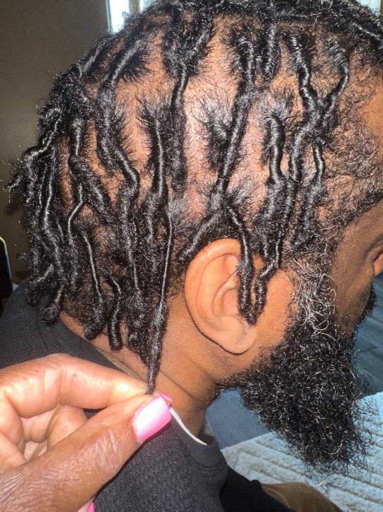 Starter locs