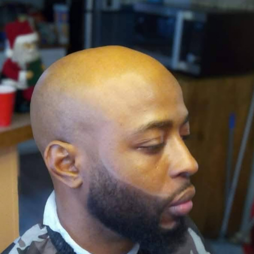 The Bald Eagle at Kingdom Kuttz Grooming in Rocky Mount, VA
