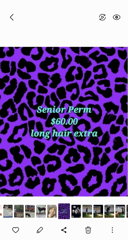 Senior Perm Special