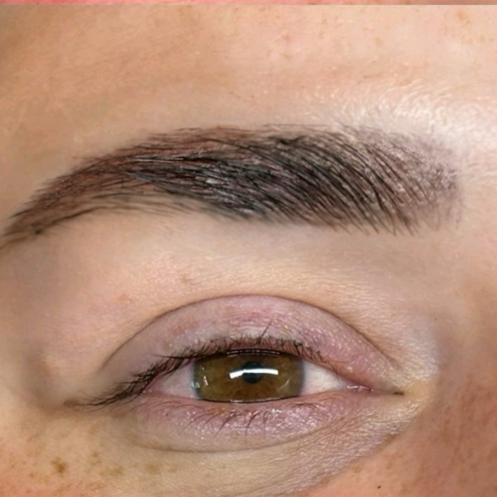 Brow Wax And Tint at Dye Pretty Artistry in Dansville, NY