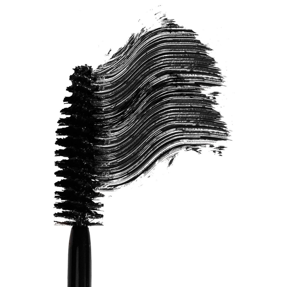Basic Makeup Application