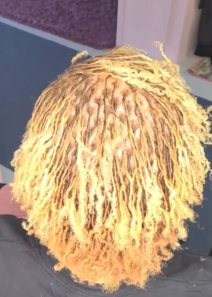 Micro (tiny Sized) Starter Locs