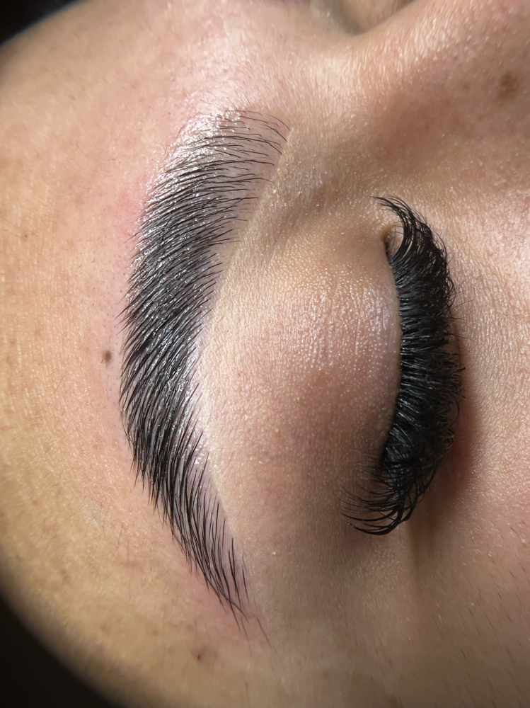 Brow Lamination