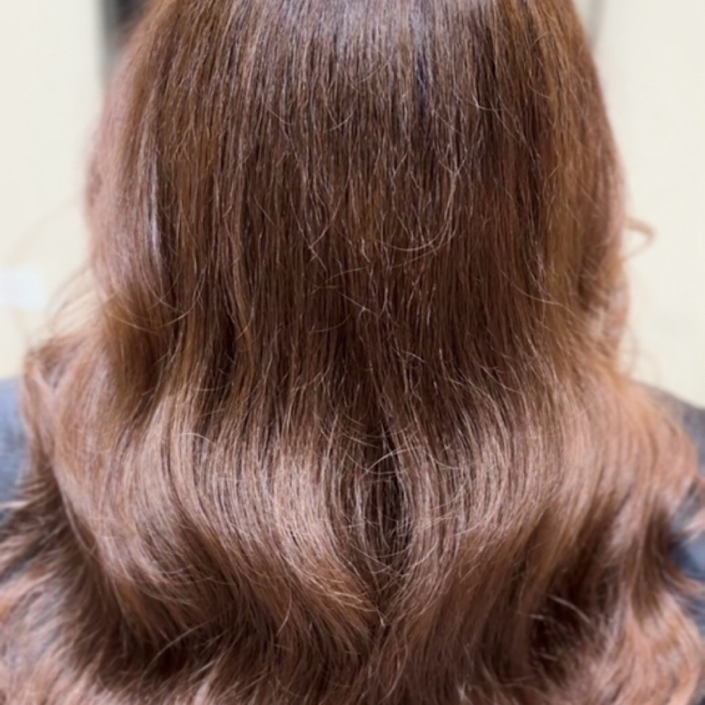 All Over Color at Ayelin Beauty in Algonquin, IL