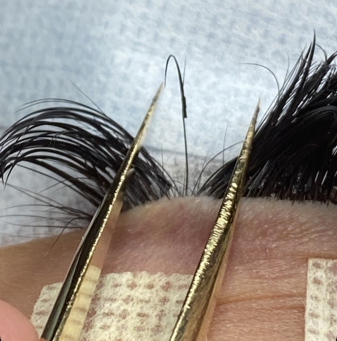 LASH EXTENSION FILL IN at The MNE Day Spa, LLC in Chapel Hill, NC