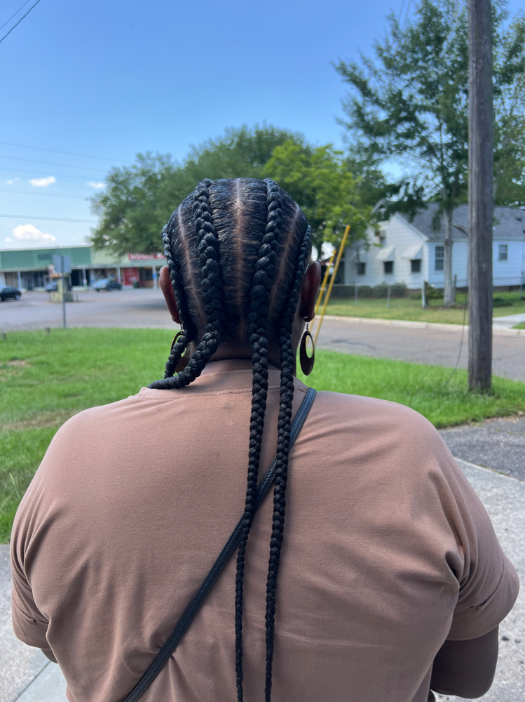 Scalp Braids (2-4)