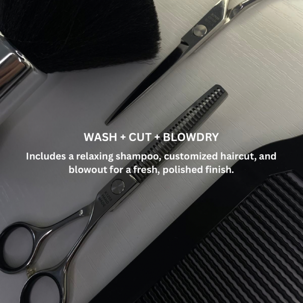 Wash, Cut, Blowdry at Blond Era + Co in Tampa, FL
