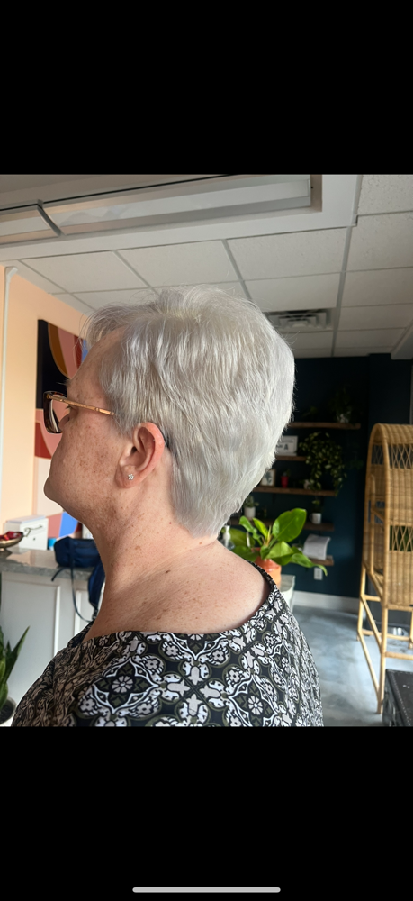 Bleach and Tone Root Touch Up