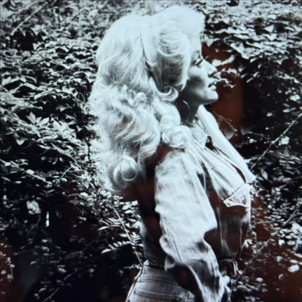 Ultra Blonde Platinum Card at The Strand x Dallas in Dallas, TX