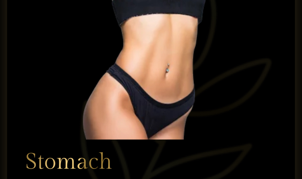 Stomach