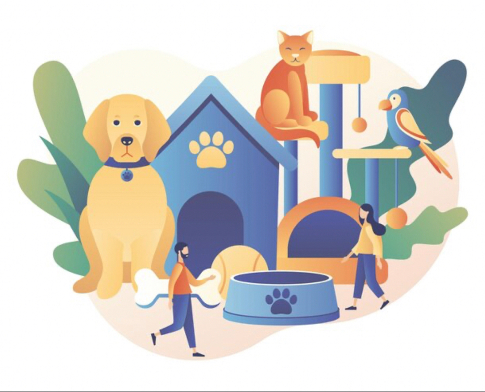 Pet Care 6hrs