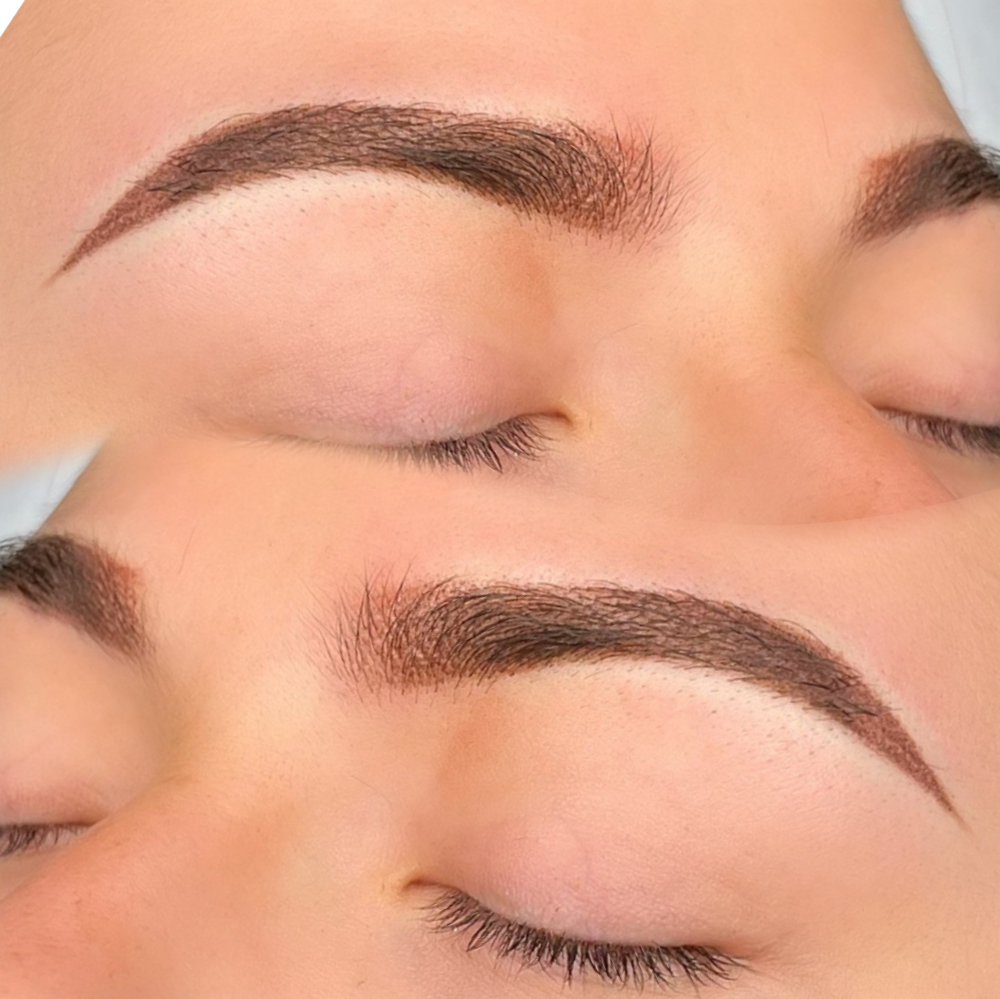 Ombre Brows/ Microshading