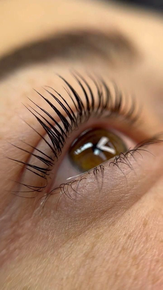 Lash Lift & Tint