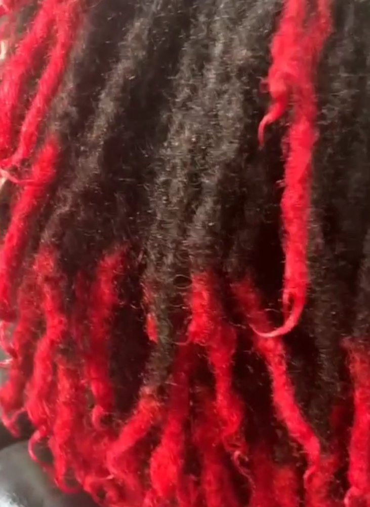 Loc Color (Tips Only) Half Head