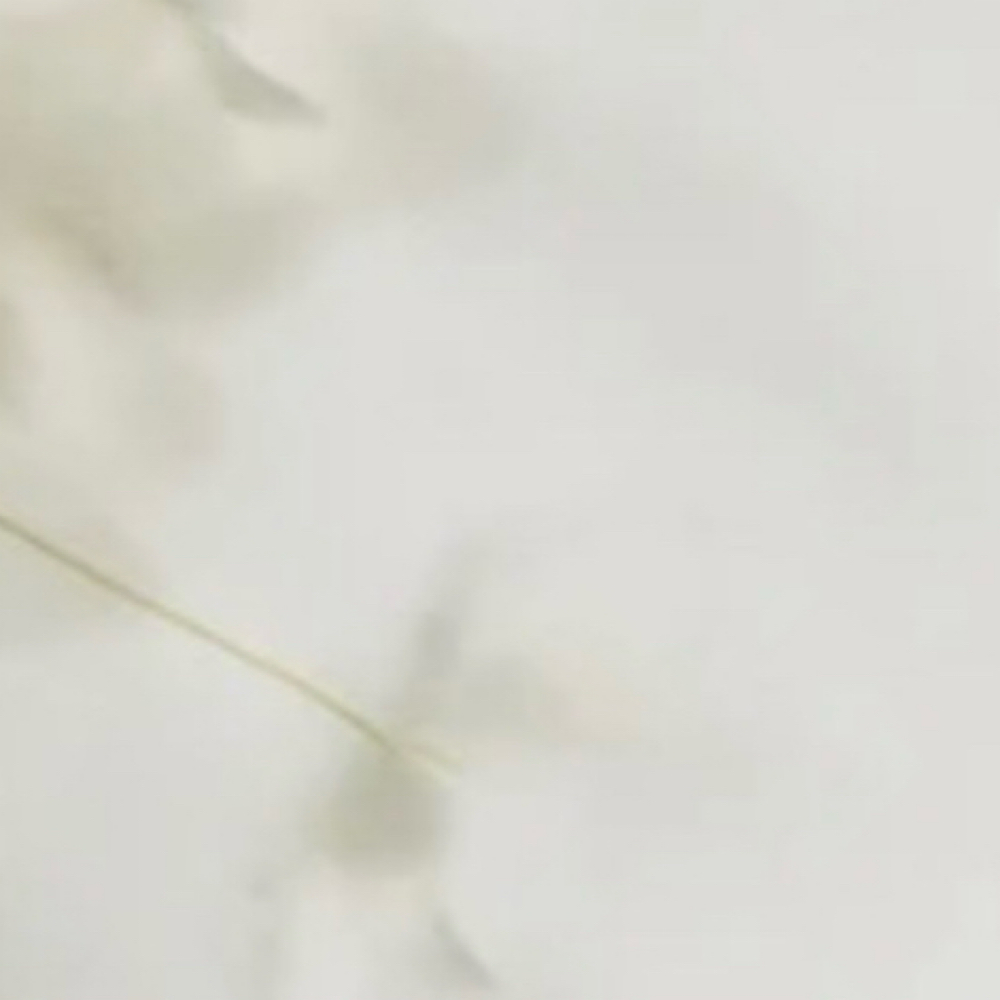 The Origin New Client Facial at Wild Sage Esthetics in Valdosta, GA