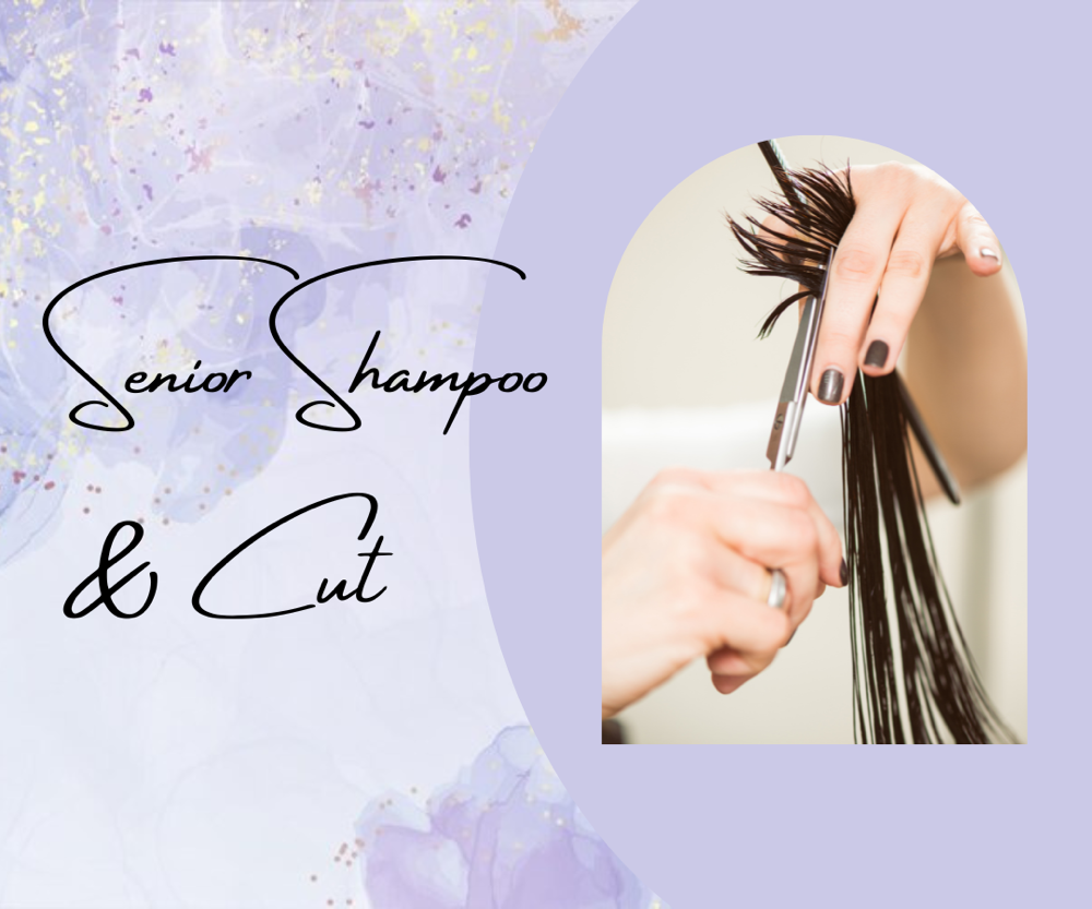 Senior Cut & Wash at Hair by Sarah At Salon Stiles in Coventry Township, OH