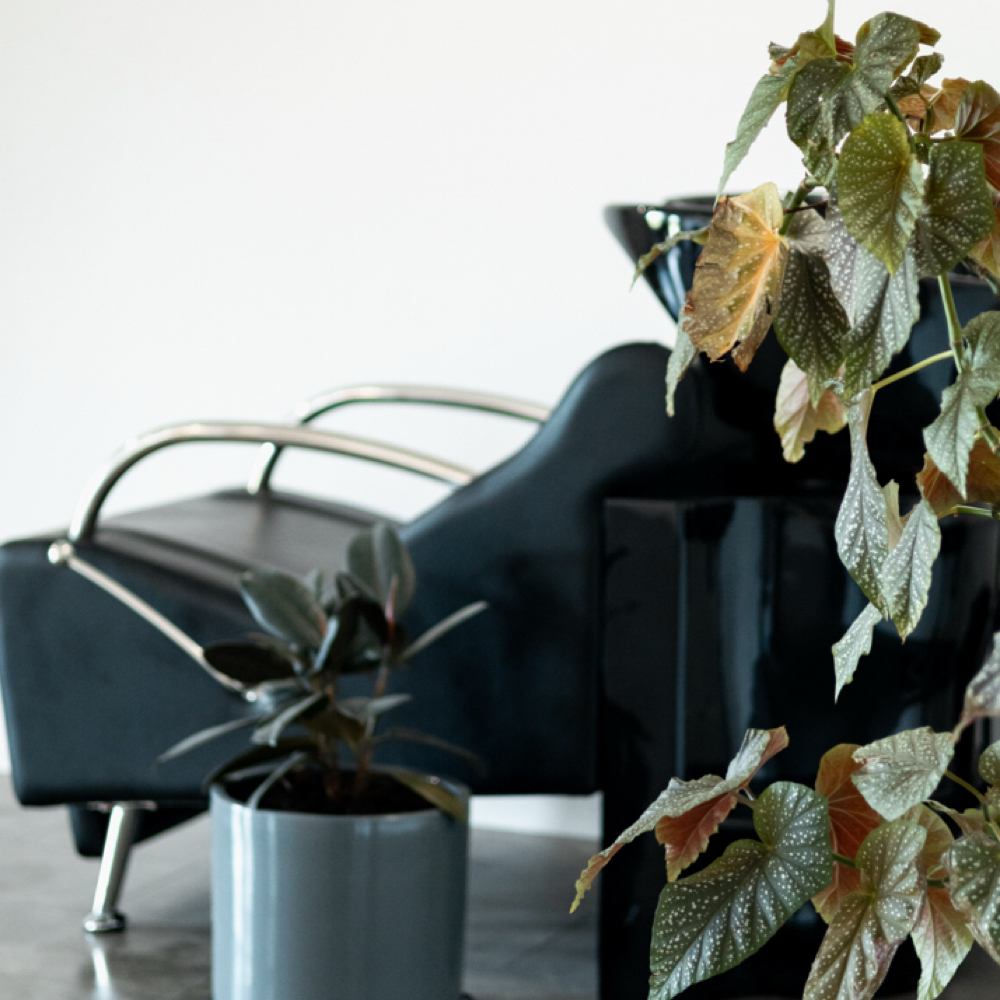 Color Remover Treatment at Scissorhands studio in Wasilla, AK