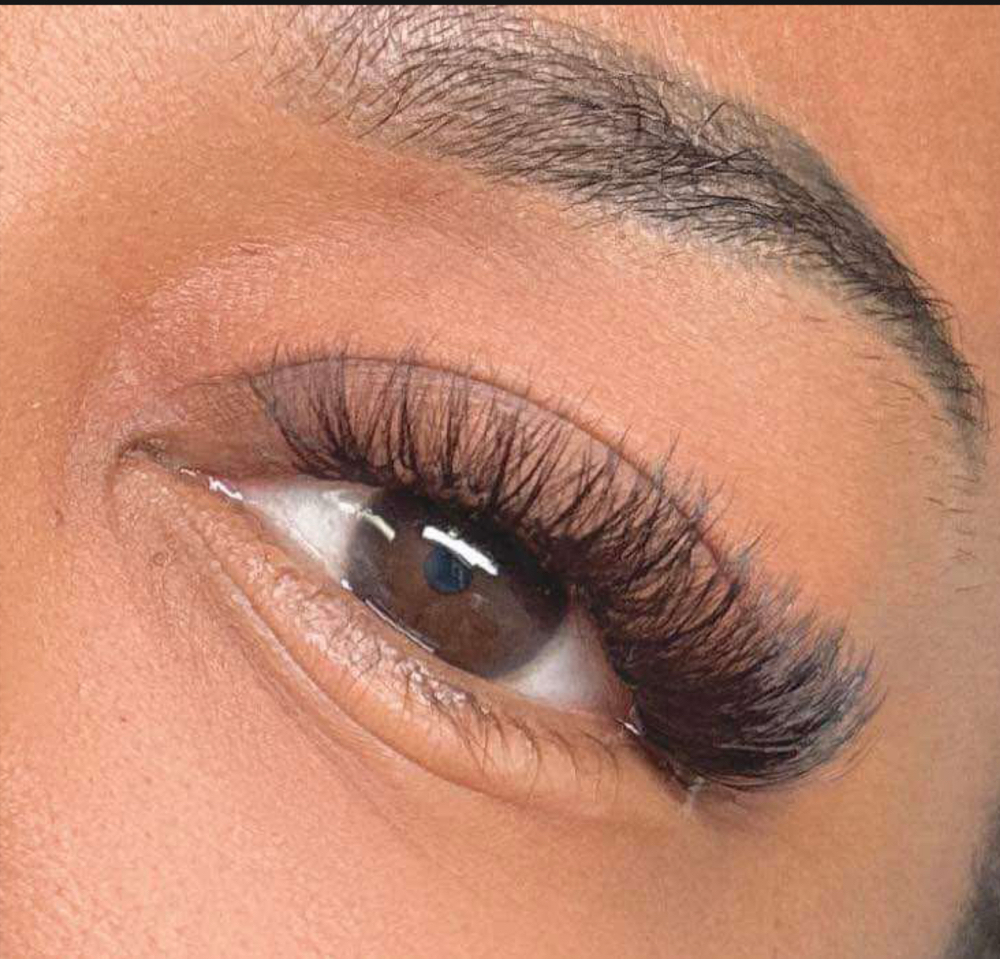 New Set - Volume Lashes