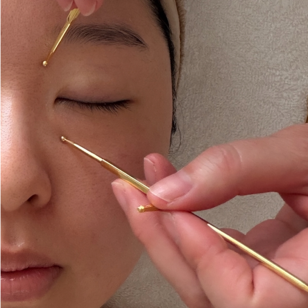Harisienne Facial at Liliway Holistic Studio in New York, NY