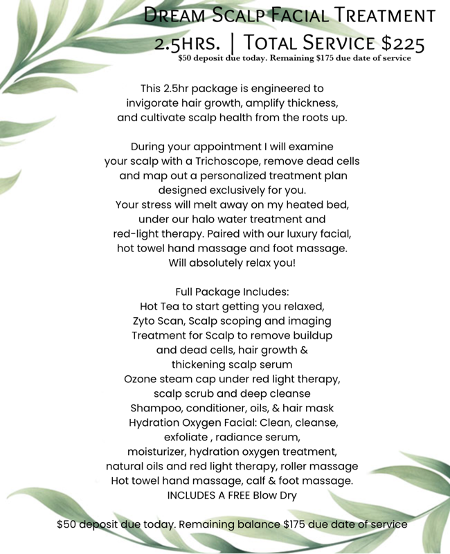 HeadSpa Dream Scalp FacialTreatment