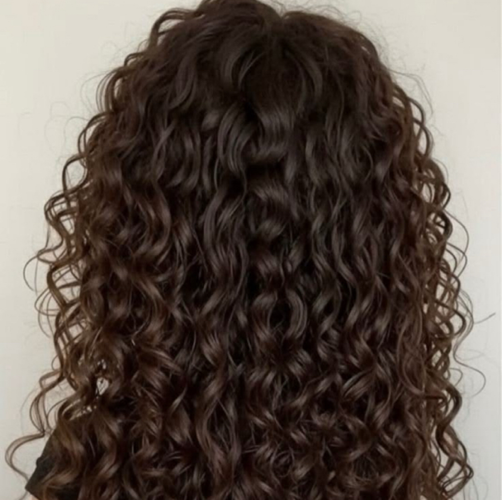 Perms (Long Hair) at Darling Do’s by Audi T in Grand Rapids, MI