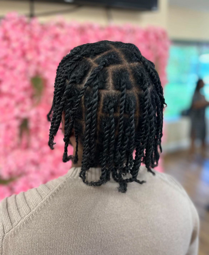 Two Strand Twist